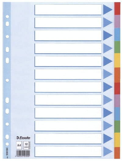 Esselte Register - blanko, Karton, A4, 12 Blatt, weiß, farbige Taben