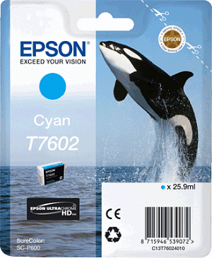 Epson Tintenp. T76024010