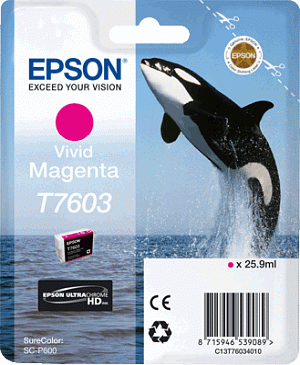 Epson Tintenp. T76034010