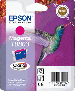 Epson Tintenpatrone T08034011