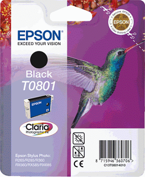 Epson Tintenpatrone T08014011