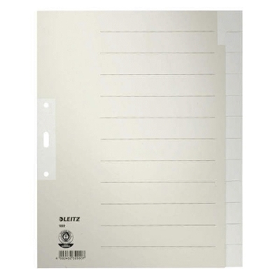 Leitz 19777 Register - Tauenpapier, blanko, A4 Überbreite, 197 Blatt, grau
