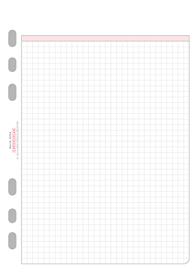 Chronoplan Ersatzeinlage, kariert - A5, 50 Blatt