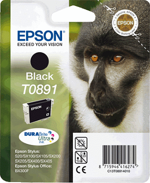 Epson Tintenpatrone T08914011