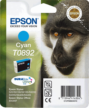 Epson Tintenpatrone T08924011