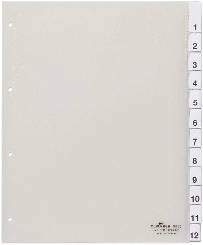 Durable Register,Hartfolie,transparent,DIN A4,Überbreite,230/245x297 mm,12 Blatt