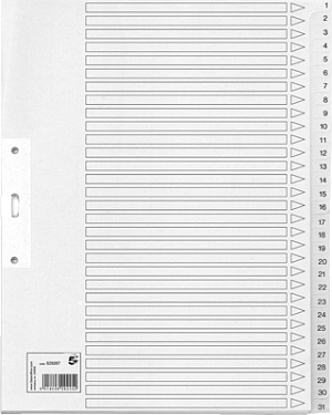 EXACOMPTA Karton-Register 31-teilig