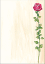 sigel Motiv-Papier Rose Bloom