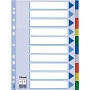 Esselte 15261 Register - blanko, A4, PP, 10-teilig + Deckblatt, farbig