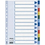 Esselte Register - blanko, A4, PP, 12-teilig + Deckblatt, farbig