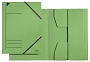 Leitz 39819 Eckspannermappe - A4, 750 Blatt, Pendarec-Karton (RC), grün