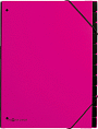 PAGNA Pultordner Trend 24129-34 pink