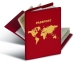 RFID Schutzhülle für Reisepass