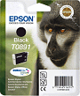 Epson Tintenpatrone T08914011