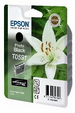 Epson Tintenpatrone photo BK Stylus Photo R2400