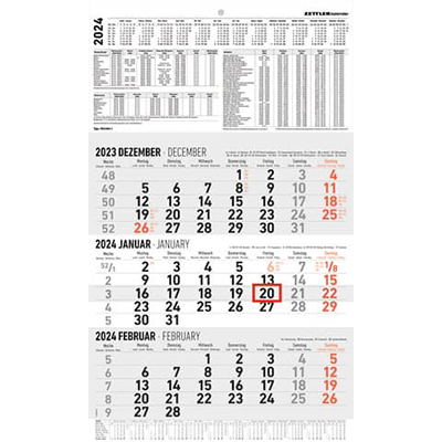 AlphaEdition 602608 3-Monats-Wandkalender - 30 x 49 cm